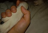 IMG_20250225_003731