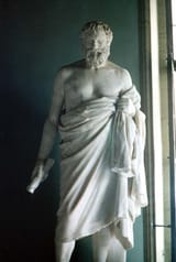theCynic