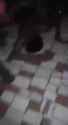 Cartel Chops Into Rival with Machete and Finishes Him Off wi_thumb.jpg