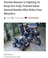 2a1