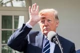 trumploser