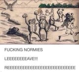 fucking normies