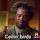 chirps