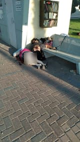 1696658023481654