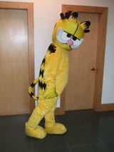 HOT-Custom-Products-Plush-Cartoon-Character-Costume-mascot-Garfield-Halloween-Outfits-Free-Shipping.jpg_Q90.jpg_
