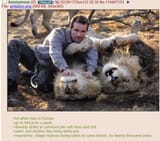 lions