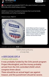 jewish media CIA USAID