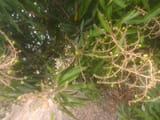 IMG_20250804_133338911