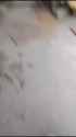 mtss888168 no sound )_thumb.jpg