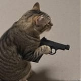 CatWithGun