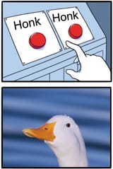 1713355104157966