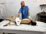 gaza famine 458