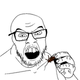 bug