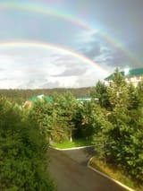 a literal view from my window