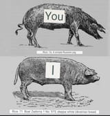 1724552826845139