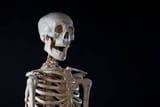 istockphoto-533341348-612x612