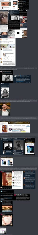 BAP network paedophiles 1