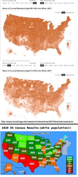 US white population change