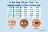 genetics-of-eye-color-3421603-charttext-final-f7055926c9ab4705a69da4368c49fdd4