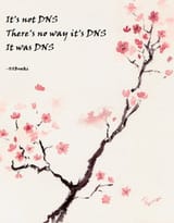 dns haiku