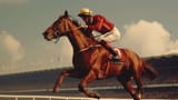 redrum-aintree