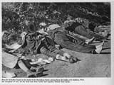 bromberg murders