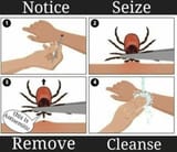 parasites