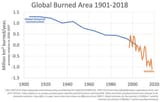 Lomborg-global-wildfires-trend-1900-2016