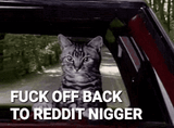 8535843850986549685