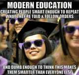 Higher Education