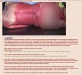 1739158819149560