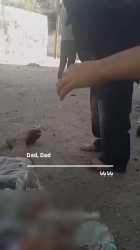 Gaza_thumb.jpg