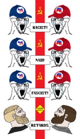 american-politics-in-a-nutshell