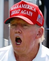 zognald