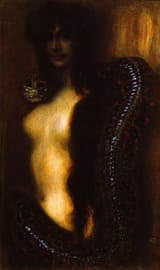 images(5)