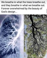 1719756994514853
