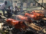 pork roast