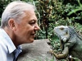david-attenborough-bbc-4197400213