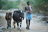 india10jeffrey-3283144