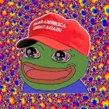 1663460620005872