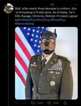 retired-military-working-dog-up-for-adoption-v0-y9uieqhtln5a1