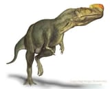 kileskus