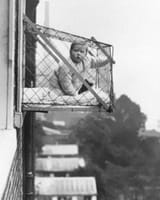 get in the baby cage