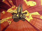 wile-e-coyote falling with anger