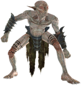 FalmerSkulker