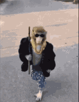 monkey-gangster-monkey