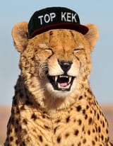 TK