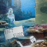 FACT FLOOD cobson bernd troonella tranny