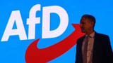 afd-hoecke-titelbild