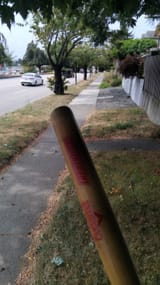 IMG_20250805_125734